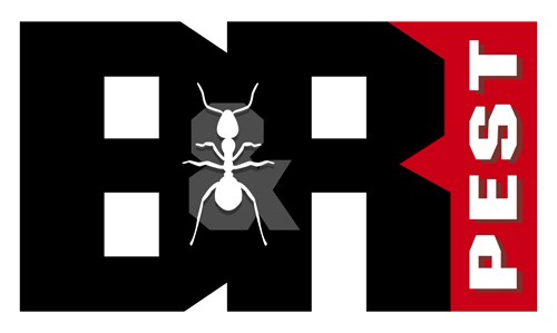 Avatar for B & R Pest Service
