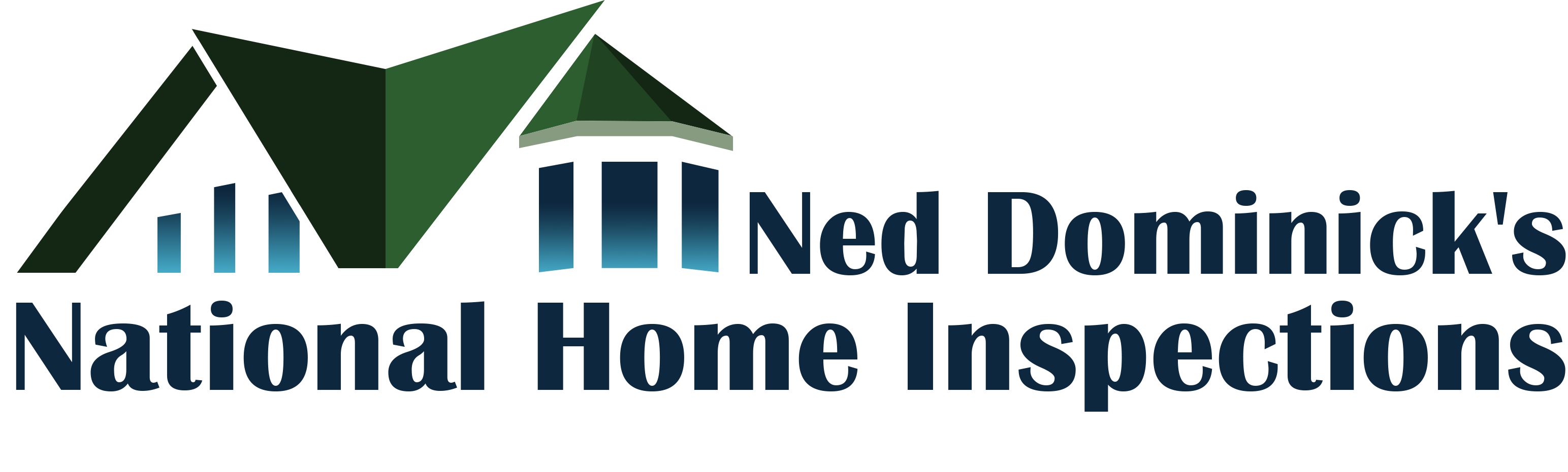 NED DOMINICK'S NATIONAL HOME INSPECTIONS logo
