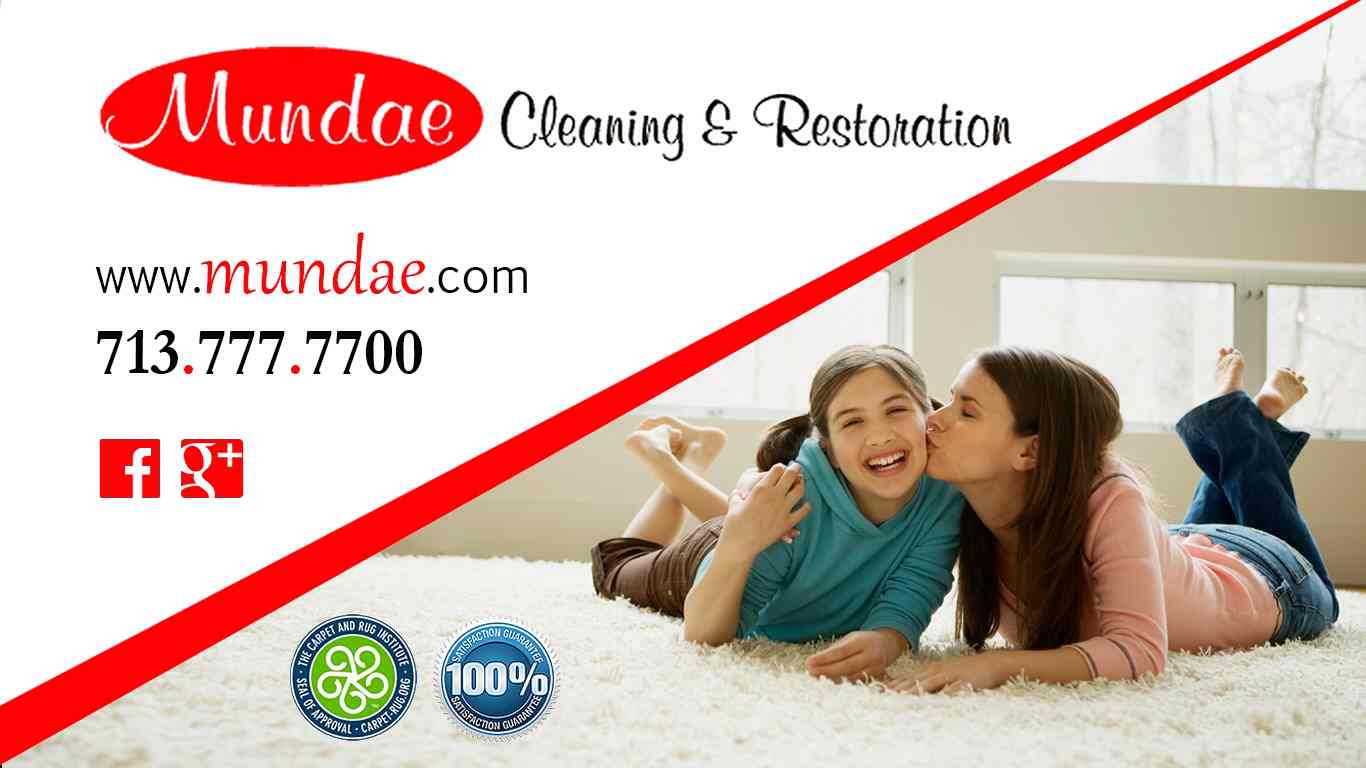 Logo for Mundae Cleaning & Restoration Services