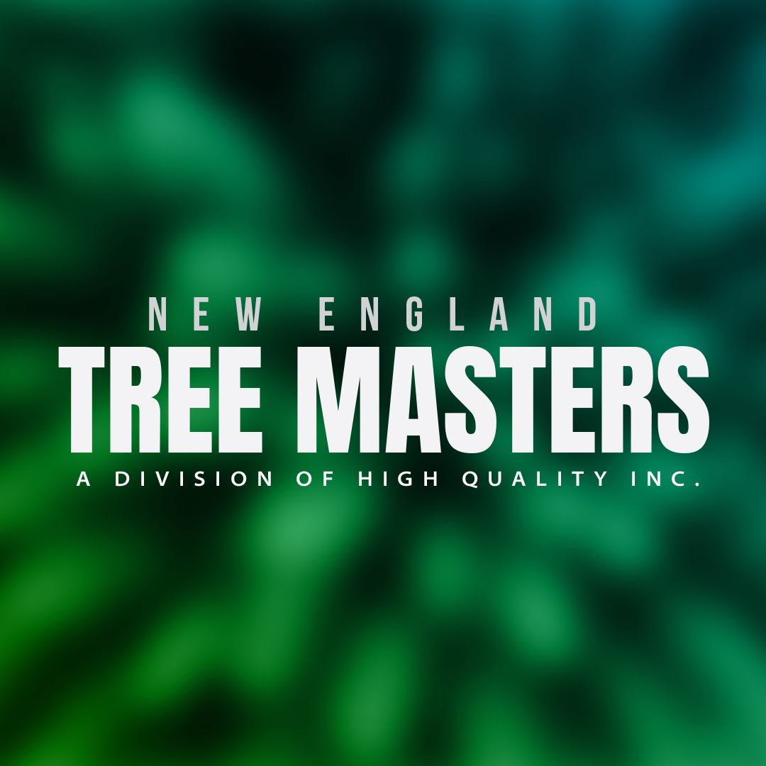 Avatar for NEW ENGLAND TREE MASTERS