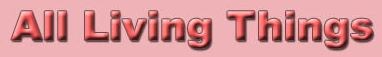 Logo for All Living Things