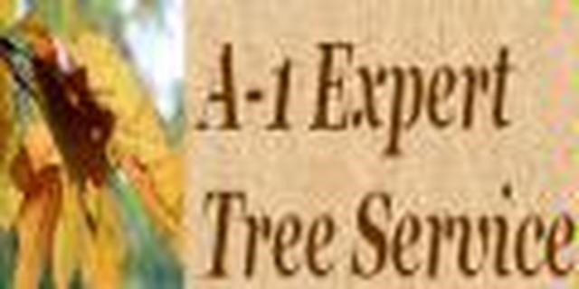A-1 Expert Tree Service logo
