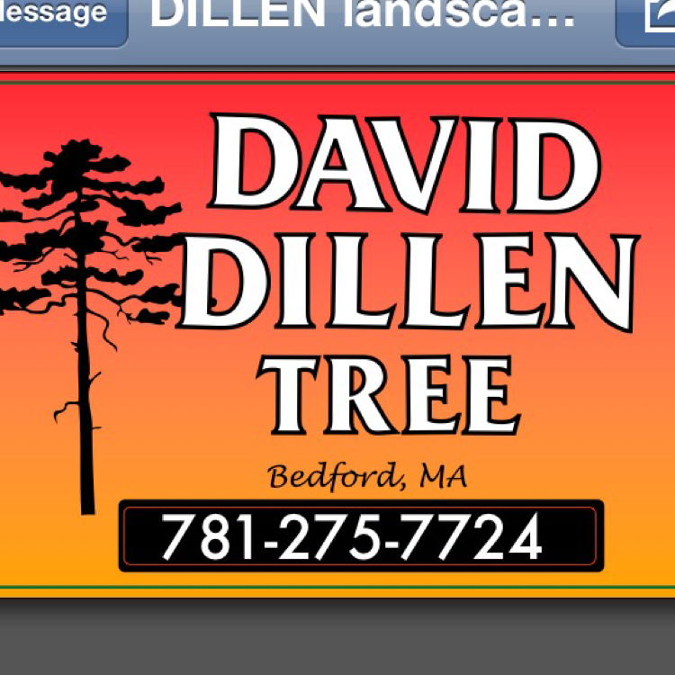 Logo for David W Dillen Tree Service