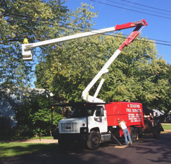 Logo for 4 Seasons Tree Service