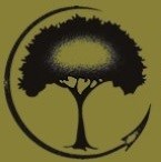 Logo for James Cummings Tree Service