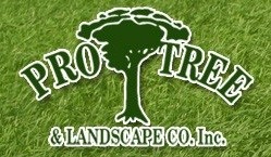 Pro Tree & Landscape Co logo