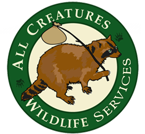 All Creatures Wildlife Services, LLC logo