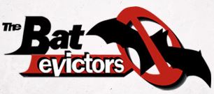 Logo for The Bat Evictors