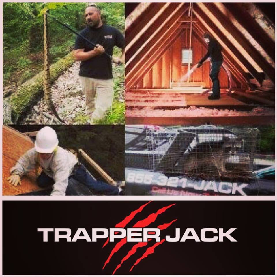 Logo for Trapper Jack Wildlife Specialist