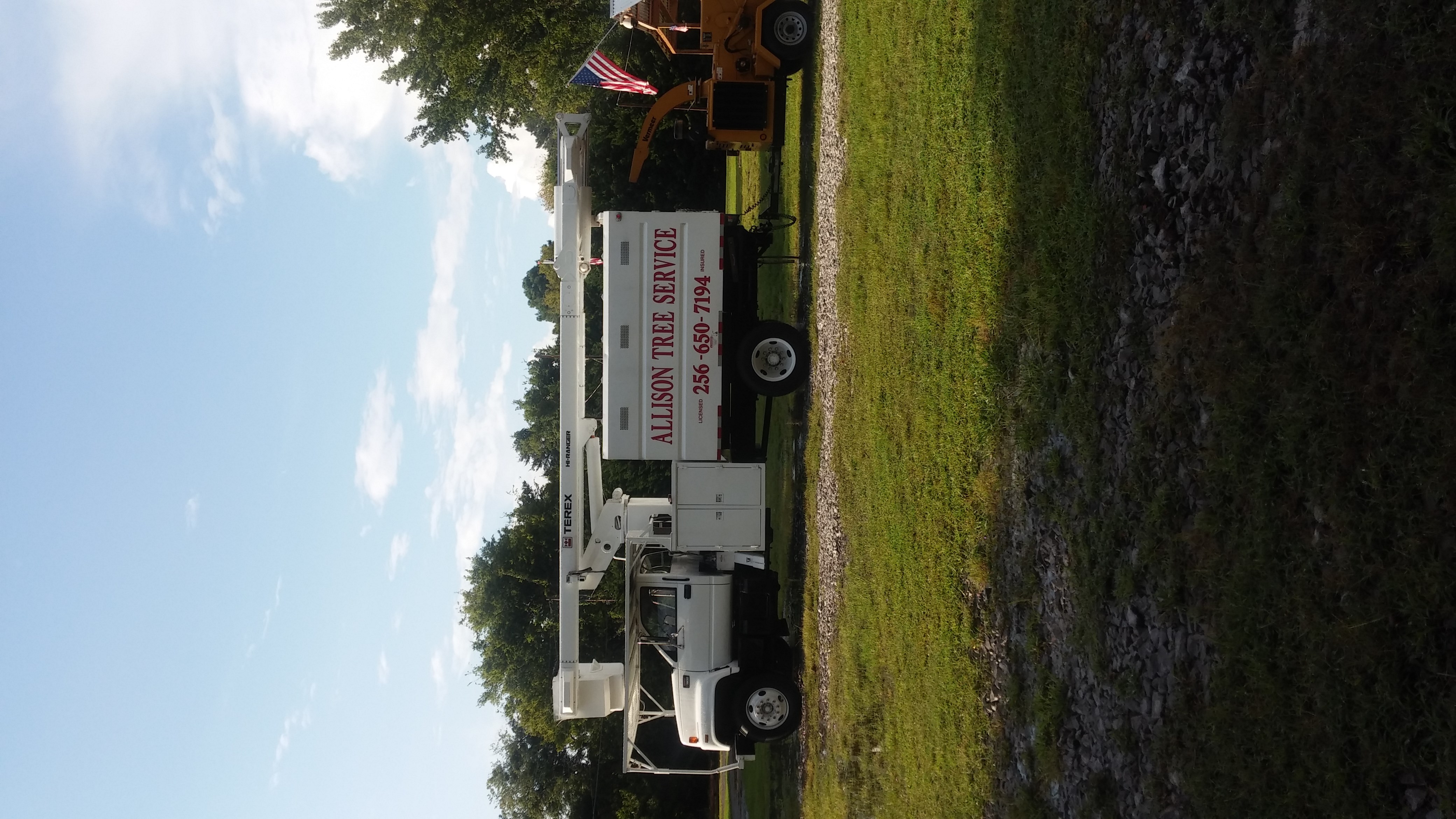 Allison Tree Service & Stump Removal logo