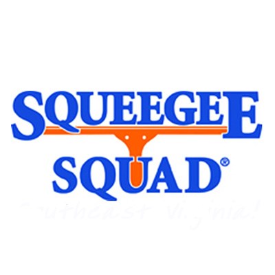 Logo for Squeegee Squad