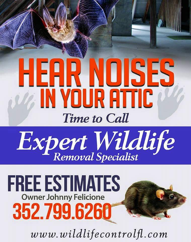 Logo for Expert Wildlife & Animal Removal Specialists