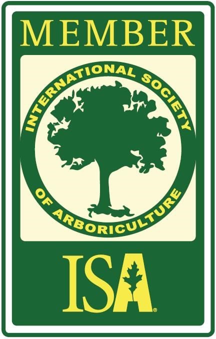 Avatar for Arbor True Tree Care