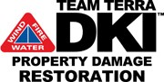 Team Terra DKI logo