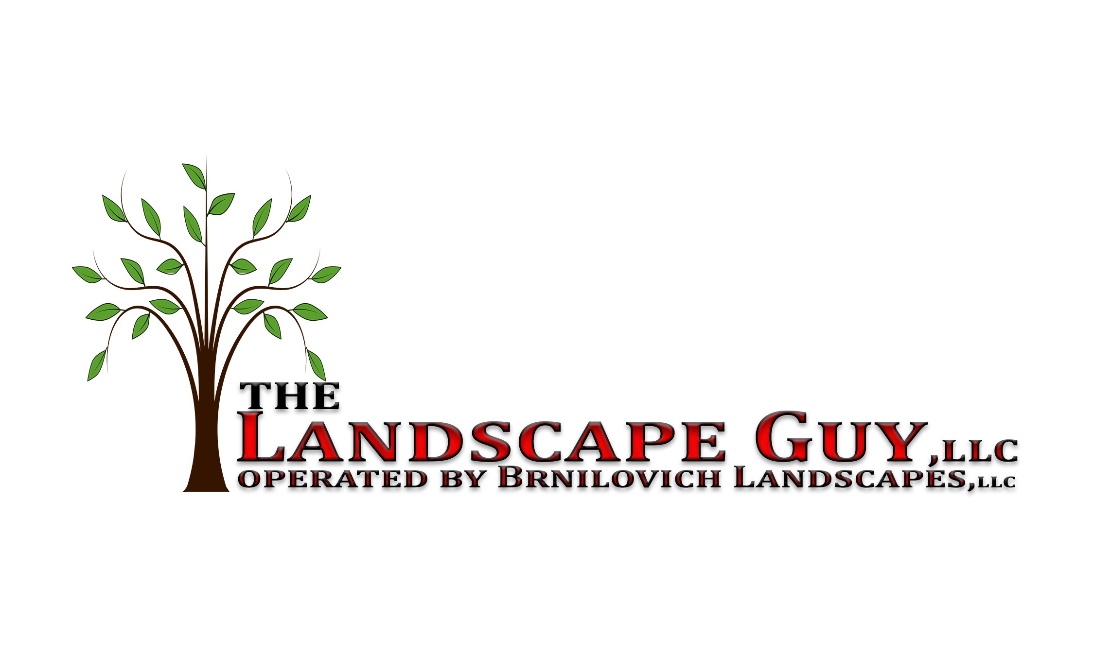 The Landscape Guy, LLC logo