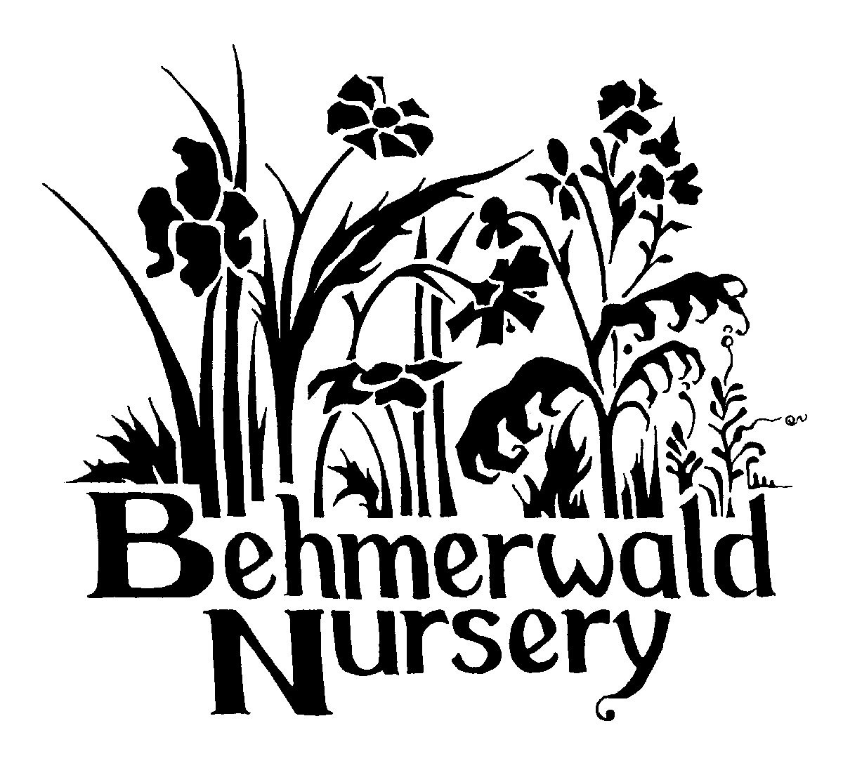 BEHMERWALD NURSERY logo