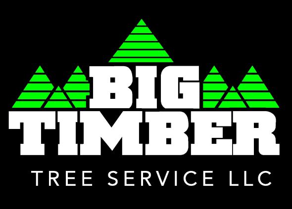 Logo for Big Timber Tree Service LLC