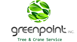 Greenpoint Tree Service, Inc. logo