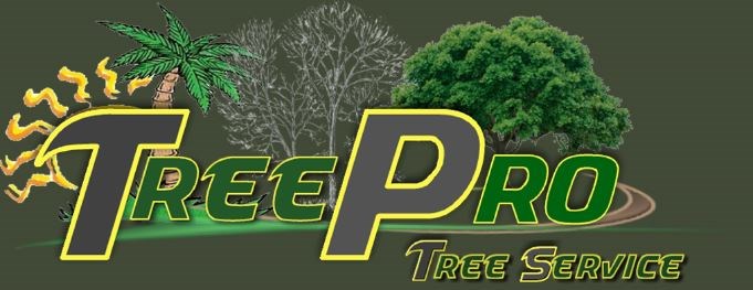 TreePro logo