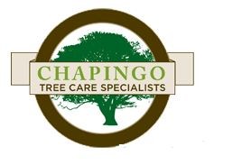 Logo for Chapingo Tree Care Specialists