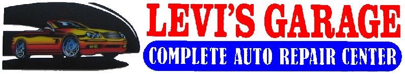 Logo for Levi's Garage
