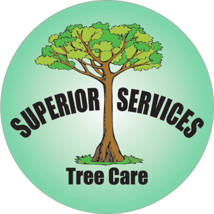 Logo for SUPERIOR SERVICES