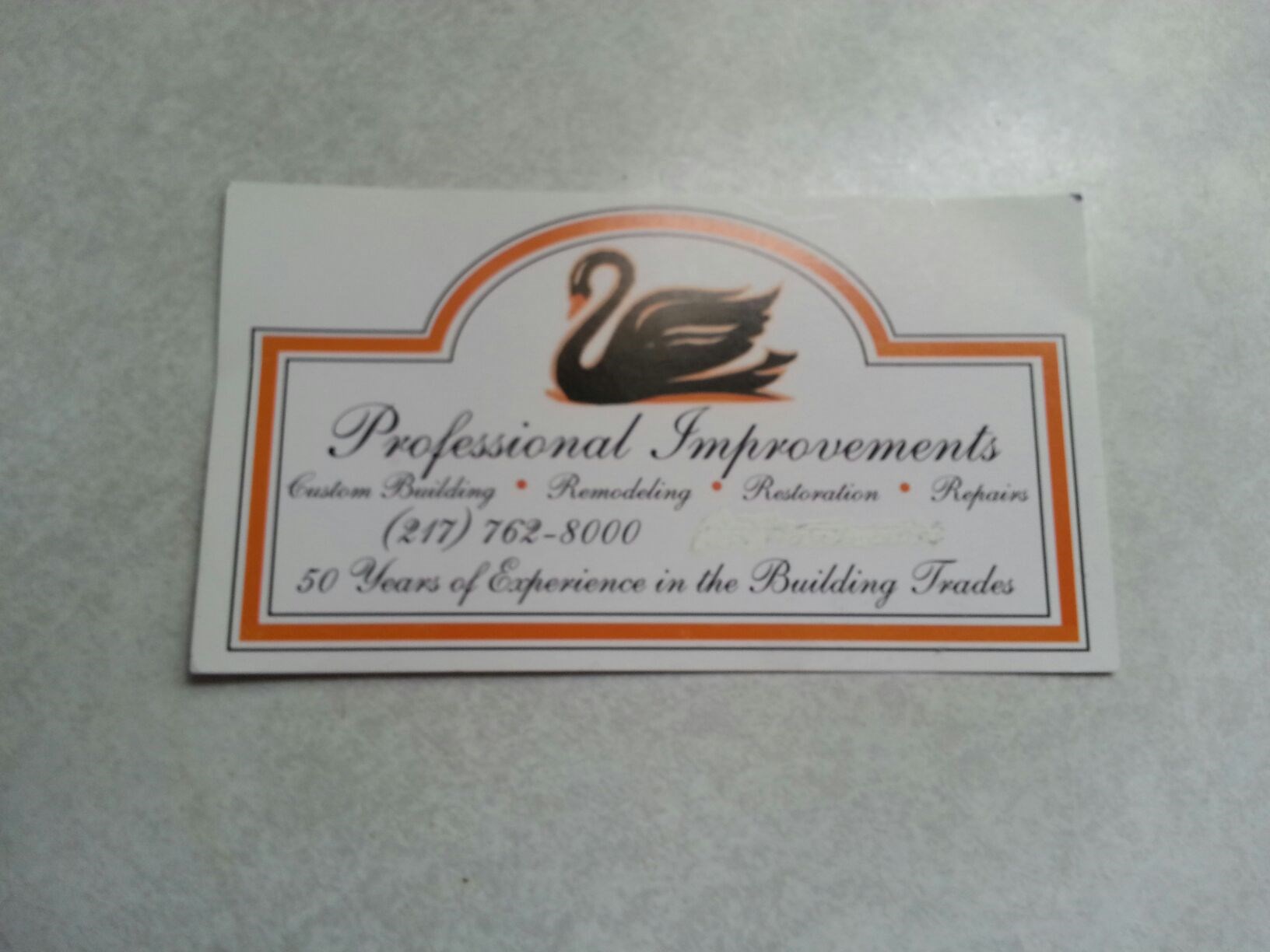 PROFESSIONAL IMPROVEMENTS logo