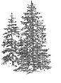 Avatar for Hultgren Tree Service LLC