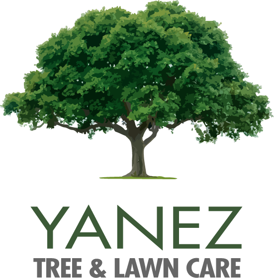 Avatar for Yanez Tree & Lawn