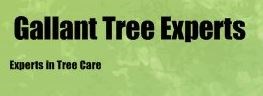 Gallant Tree logo