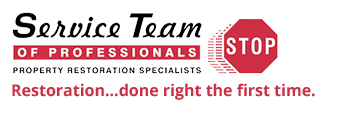 Service Team of Professionals logo