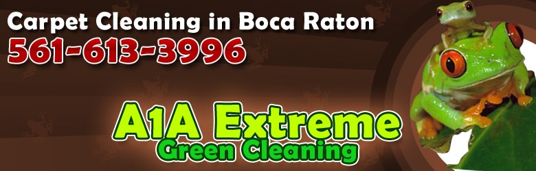 A1A Extreme Green Cleaning Inc logo