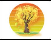 Creative Touch Landscape Management LLC logo