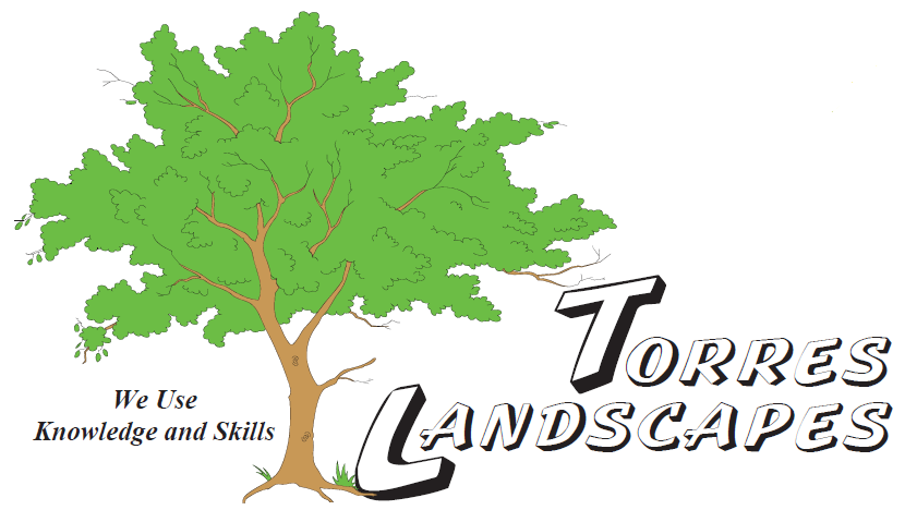 Avatar for Torres Landscapes