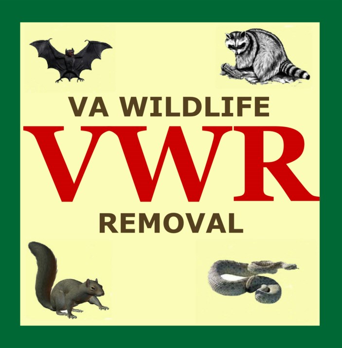 Logo for Va Wildlife Removal
