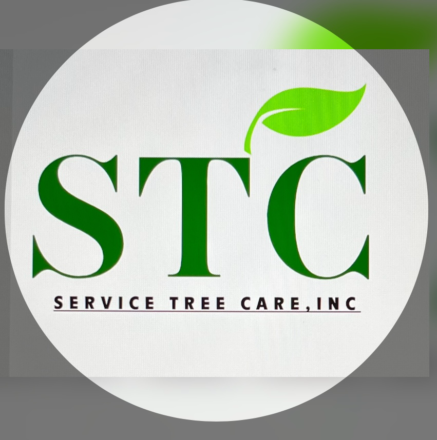 Logo for Service Tree Care Inc
