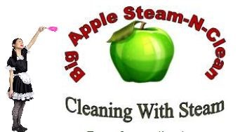 Big Apple Steam and Clean logo
