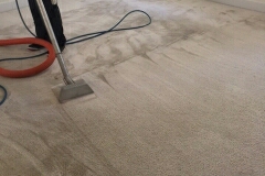 Discount Carpet & Upholstery Cleaning logo