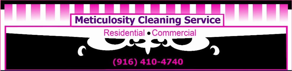 Avatar for Meticulosity Maids Inc.
