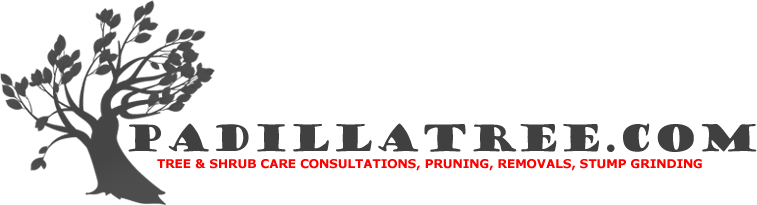 Logo for Padillatree.net Inc