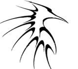 Avatar for Vincent Spinelli Floor Service LLC
