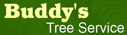 Logo for Buddy's Tree Service