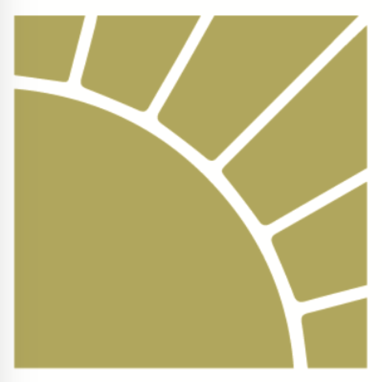 Avatar for Turkey Creek Tinting