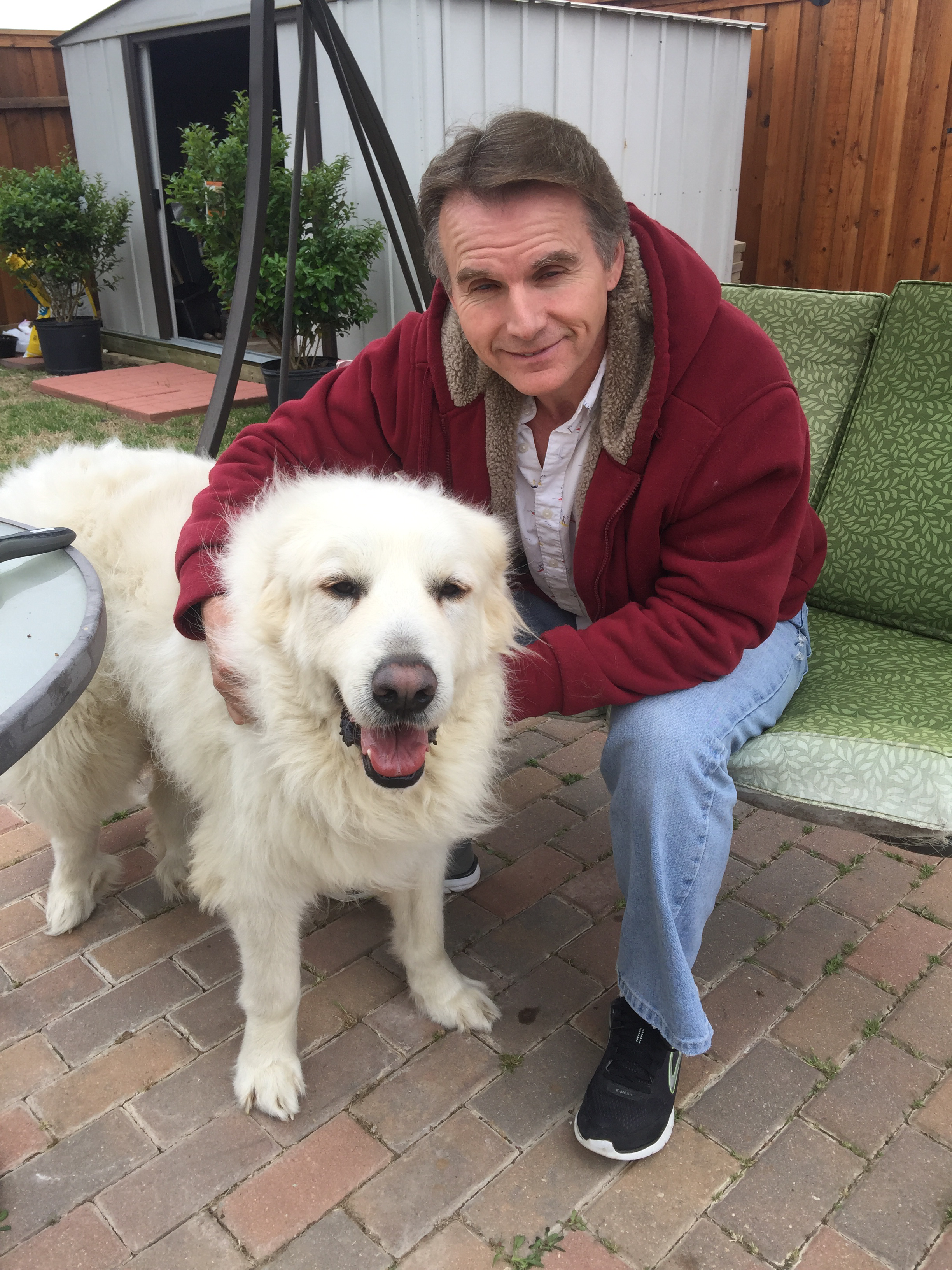 Prestige Painting & Decorating logo