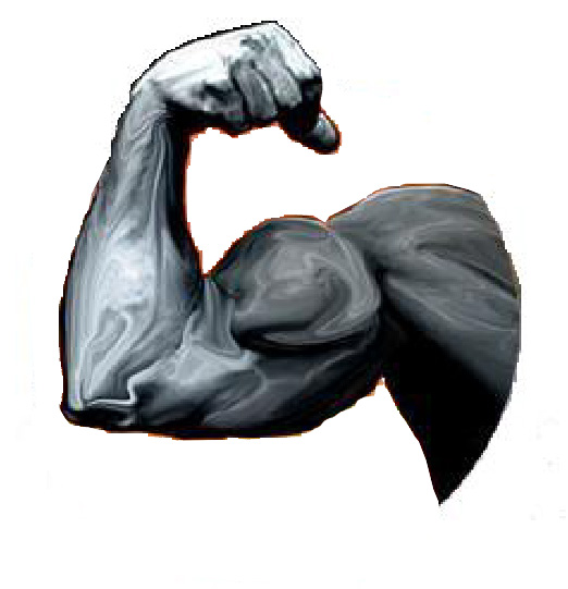 Platinum Trashout Service Inc logo