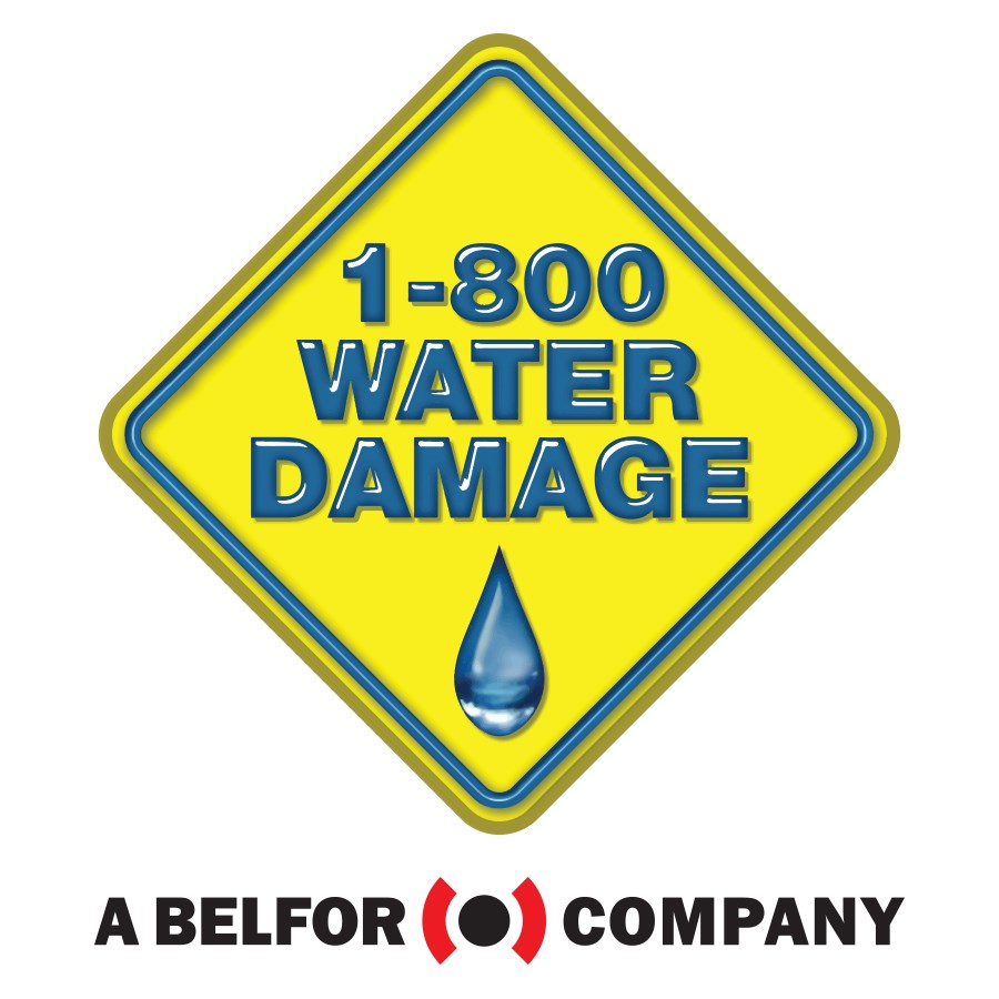 Logo for 1-800 Water Damage of WNC