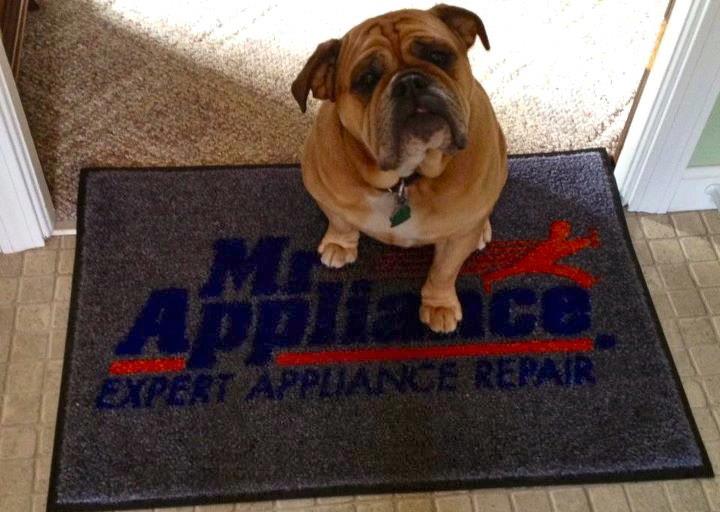 Logo for Mr. Appliance of Southeast Massachusetts