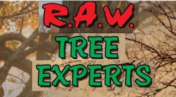 Raw Tree Expert logo