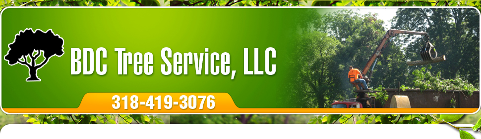 BDC Tree Service logo