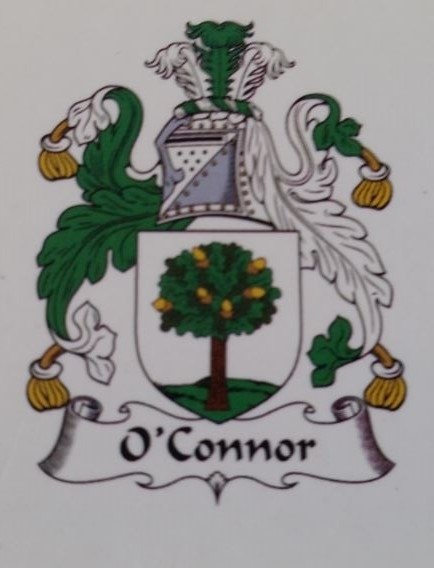Barry O Connor Electrician logo